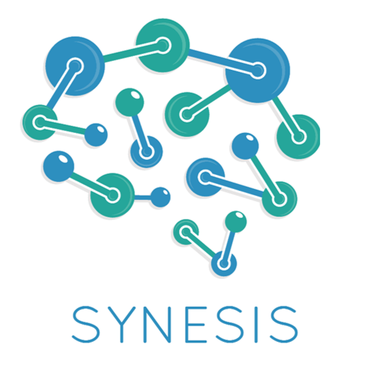 Synesis Consulting logo